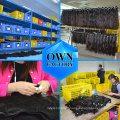 Wholesale Sample Virgin Cuticle Aligned Hair Vendors From India Cheap Import Raw Indian Hair Weaving Bundle
Wholesale Sample Virgin Cuticle Aligned Hair Vendors From India Cheap Import Raw Indian Hair Weaving Bundle